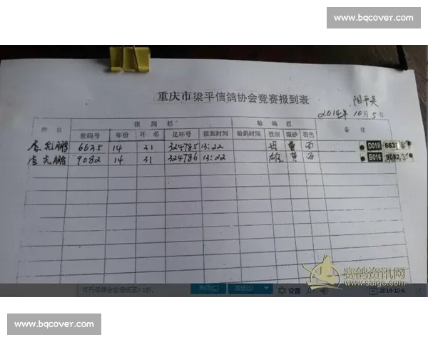 全国信鸽比赛成绩查询平台助力鸽友精准掌握赛绩动态权威数据分析与历史记录服务 全国信鸽比赛成绩查询平台助力鸽友精准掌握赛绩动态权威数据分析与历史记录服务