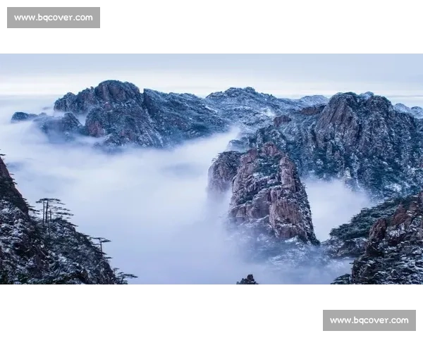 国际钢管舞比赛精彩瞬间集锦展现力量与艺术之美巅峰对决舞台魅力全记录 国际钢管舞比赛精彩瞬间集锦展现力量与艺术之美巅峰对决舞台魅力全记录