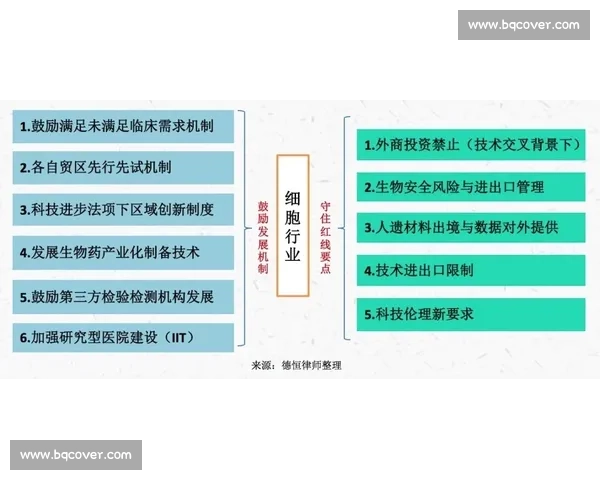 以实战表现与训练成效为核心的柔道比赛总结与提升路径分析研究实践